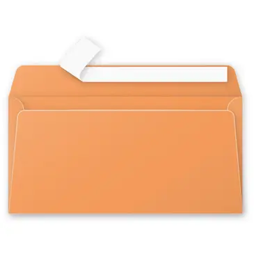 5495C sobre DL (110 x 220 mm) Naranja 20 pieza(s)