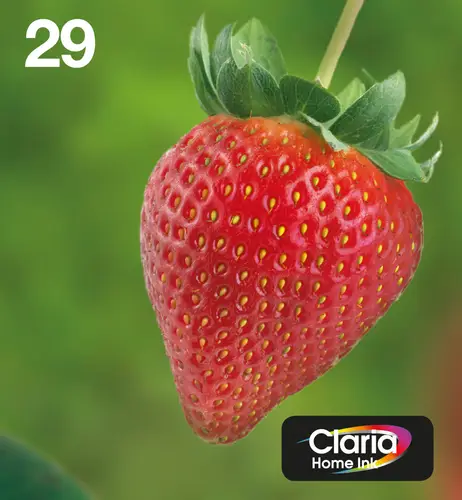 Strawberry Multipack 4-colours 29 EasyMail - Imagen 1