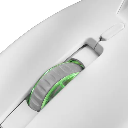 MCPXWES, Blanco, Único - Imagen 9