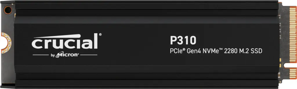 P310 1 TB M.2 PCI Express 4.0 NVMe