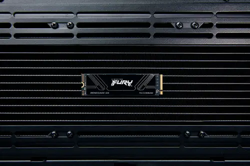 2T FURY RENEGADE G5 M.2 2280 NVMe SSD - Imagen 6