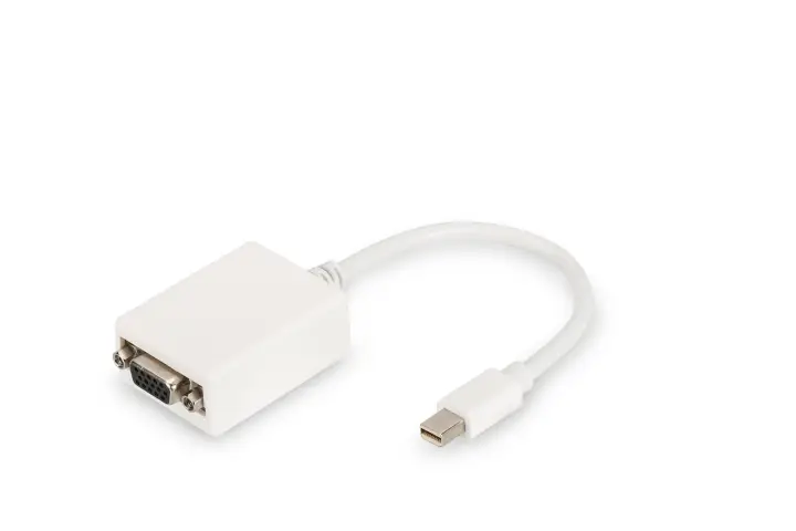 Cable adaptador DisplayPort