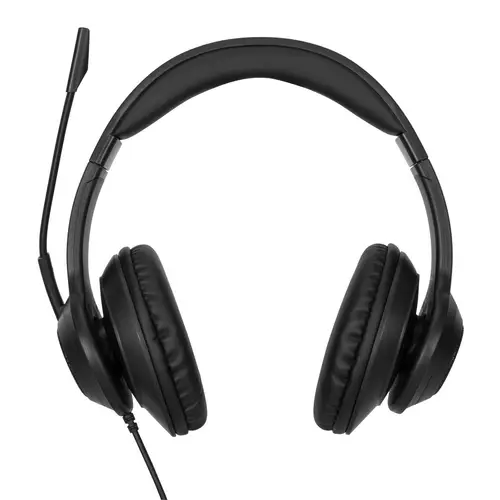 AEH102GL auricular y casco Auriculares Alámbrico Diadema Llamadas/Música USB tipo A Negro - Imagen 1