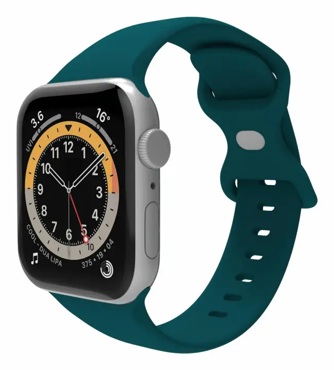 WBANDSIL44GN pieza y accesorio para reloj Correa de reloj