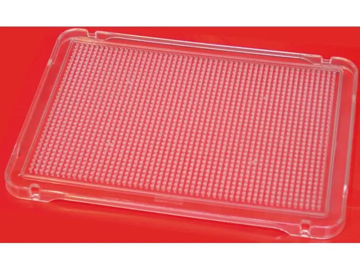 MNL SET 6 PEGS BOARD TRANS 31X21MM 31830