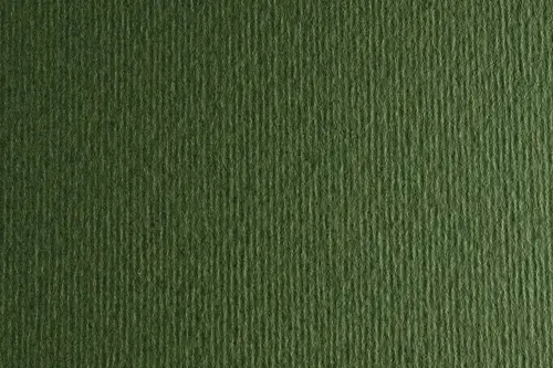 CARTULINA 50x70 FABRI. 220g LR VERD. P/2