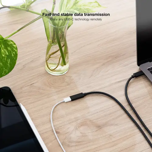 10.01.4500 cable USB USB 3.2 Gen 2x2 0,5 m USB C Negro - Imagen 6