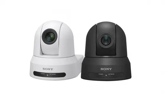 Professional SRGL-4K licencia y actualización de software 1 licencia(s)