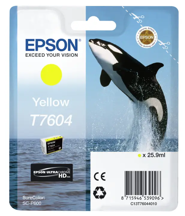 T7604 Amarillo
