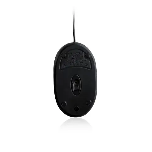 EW3174 ratón USB tipo A Óptico 1000 DPI Ambidextro - Imagen 3