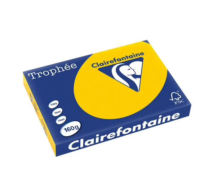 PAQ. 250H PAP. TROPHEE CLF SUAVE A3 160G OCRE CL