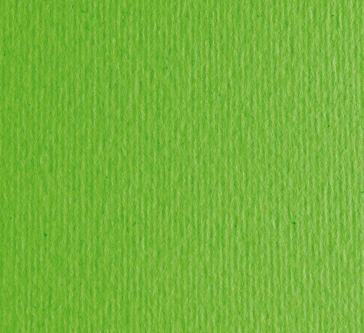 B.50H CART. LR SADIPAL A4 220G VERDE PISELLO 13214