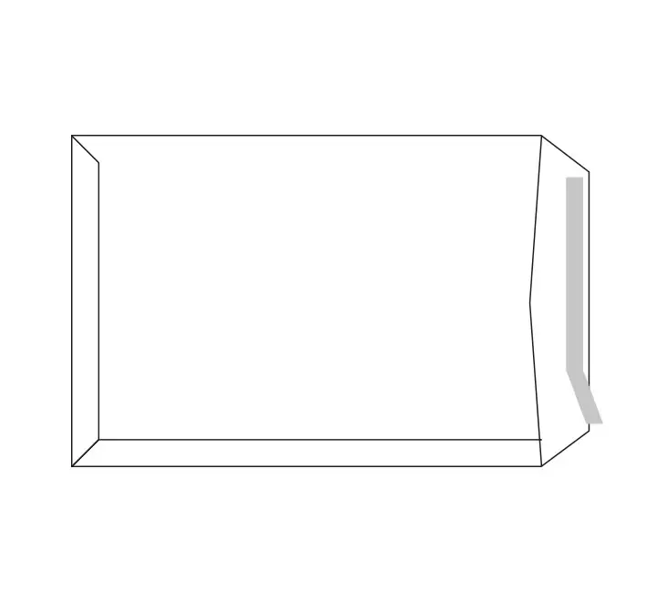 C.250 BOLSA SAM 100GR 178X254 UN BLANCO B 176250