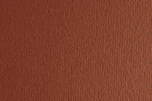 CARTULINA 50x70 FABRI. 220g LR TERRA BRU