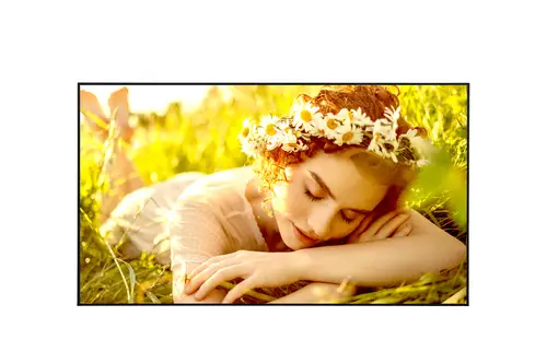 50UL5Q-M pantalla de señalización Pantalla plana para señalización digital 127 cm (50") LED Wifi 500 cd / m² 4K Ultra HD Negro WebOS 24/7 - Imagen 1