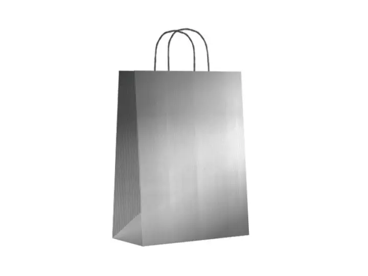 Paq.25 bolsas papel asa retorcida formato s 24+10X32cm 90gr plata 02003014