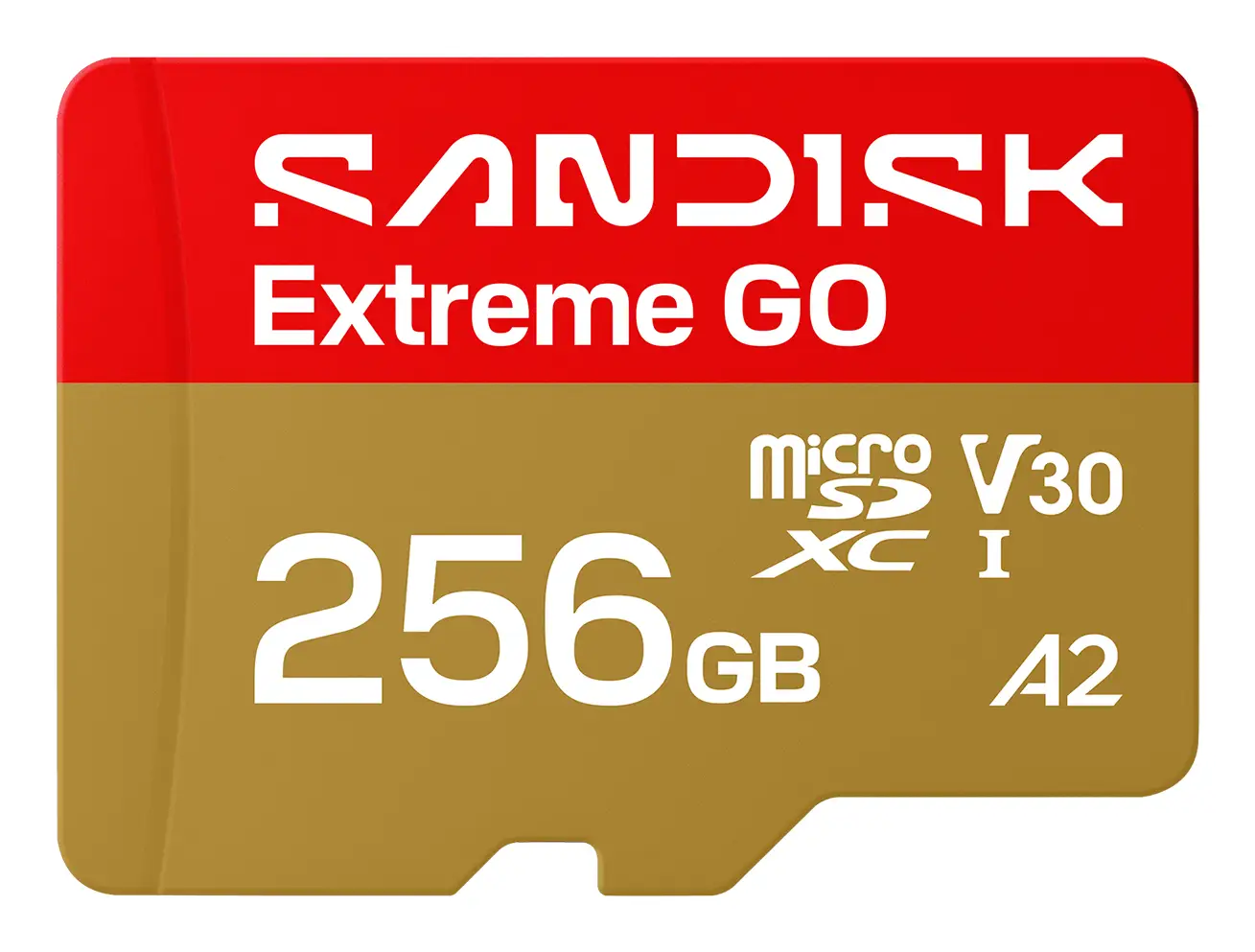 Extreme GO 256 GB MicroSDXC UHS-I