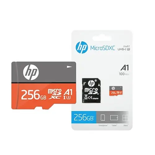 HFUD256-1V31A memoria flash 256 GB MicroSDXC UHS-I Clase 10 - Imagen 1