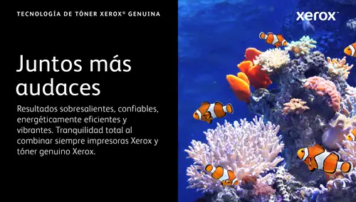 VersaLink C620 Cartucho de tóner negro de alta capacidad (20 000 páginas) - Imagen 4