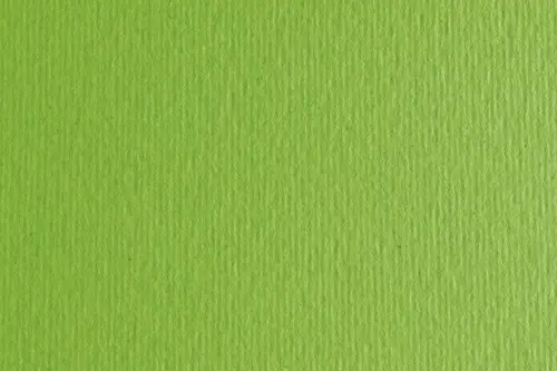 CARTULINA 50x70 FABRI. 220g LR VERDE P/2 - Pack de 20 unidades