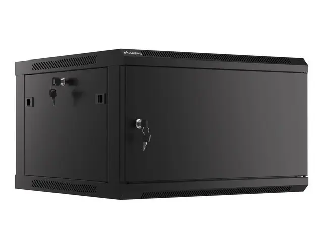 WF01-6606-00B armario rack 6U Bastidor de pared Negro