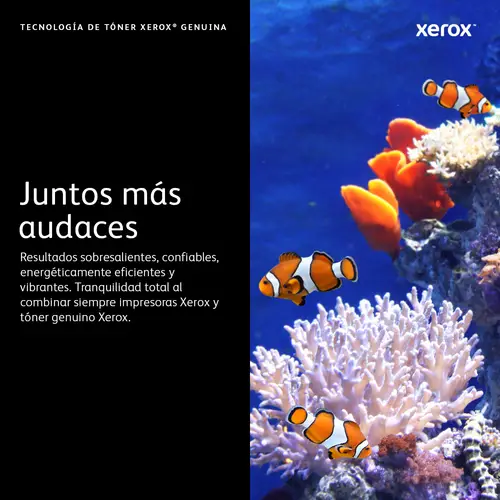 106R03739 cartucho de tóner 1 pieza(s) Original Magenta - Imagen 10