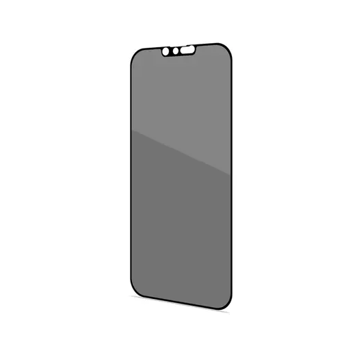 PRIVACYF1026BK protector de pantalla o trasero para teléfono móvil Apple 1 pieza(s) - Imagen 1