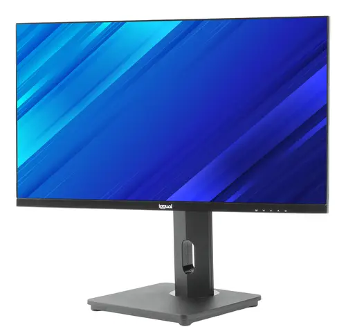 ML24FA pantalla para PC 61 cm (24") 1920 x 1080 Pixeles Full HD LED Negro - Imagen 1