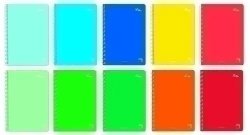 BLOCK PACSA XTRA Fº 80h MM SUR. (10) - Pack de 5 unidades