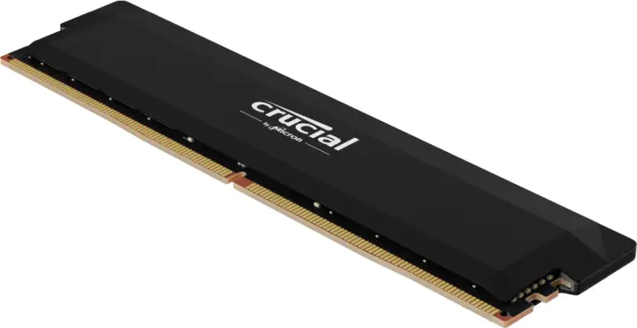 Pro CP16G60C36U5B módulo de memoria 16 GB DDR5 6000 MHz ECC