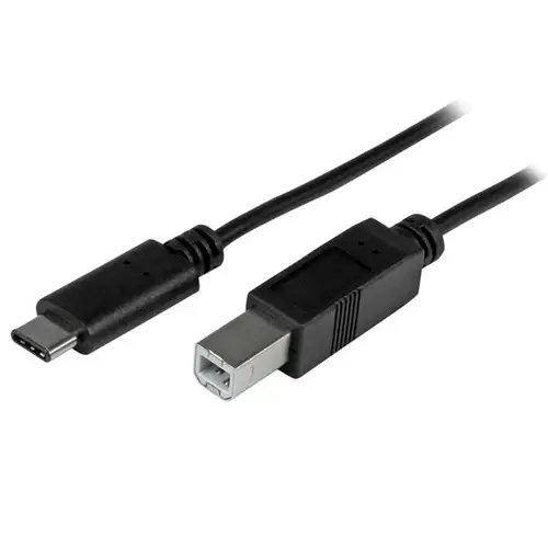 Cable de 2m USB-C a USB B Macho a Macho - Cable USB Tipo C a USB B USB 2.0 - Imagen 1