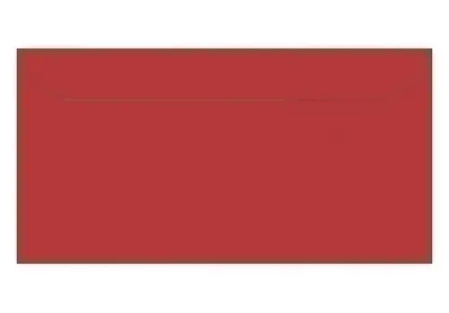 PAQ.10 SOBRES APLI 110x220 120g ROJO
