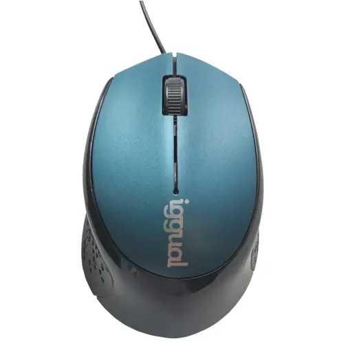 IGG317556 ratón Oficina mano derecha USB tipo A Óptico 800 DPI - Imagen 1
