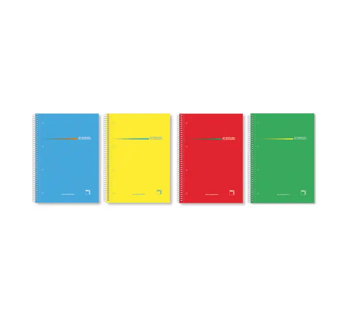 CUAD. PACSA PREMIUM Fº 100H 70G  4MM STDO