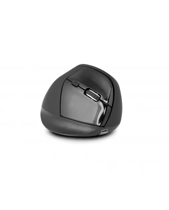 Ergo PRO ratón Oficina mano derecha RF inalámbrico Óptico 2400 DPI