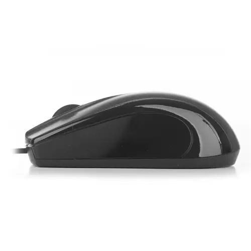 Black Mist ratón mano derecha USB tipo A Óptico 800 DPI - Imagen 2