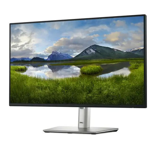 P Series P2425HE pantalla para PC 60,5 cm (23.8") 1920 x 1080 Pixeles Full HD LCD Negro - Imagen 2
