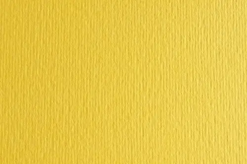 SADIPAL CARTULINA LR 220 TEXTURIZADA 50X70CM CEDRO - Pack de 20 unidades