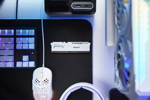 FURY Beast 32GB 6000MT/s DDR5 CL36 DIMM (Kit de 2) White EXPO - Imagen 9