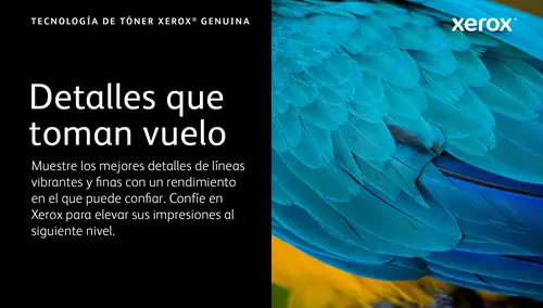 VersaLink C620 Cartucho de tóner negro de alta capacidad (20 000 páginas) - Imagen 5