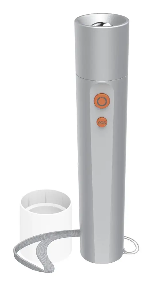 FL250 Plata Linterna de mano LED