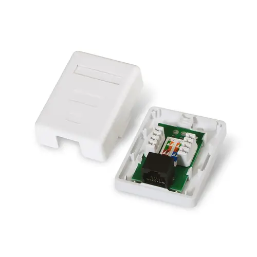 A139-0301 caja de conexiones de red Cat6 Blanco - Imagen 4