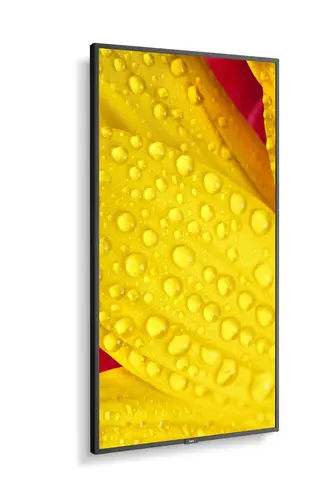 MultiSync M551-2 Diseño de quiosco 127 cm (50") LED 4K Ultra HD Negro Procesador incorporado - Imagen 12