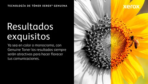 VersaLink C50X Cartucho de tóner negro de capacidad estándar (5000 páginas) - Imagen 9