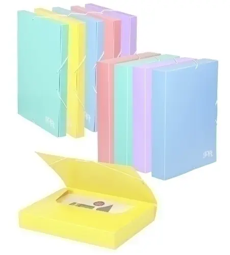 CARP.PROY.CARCH.PP SOFT Fº 5 cm SURTIDO - Pack de 10 unidades