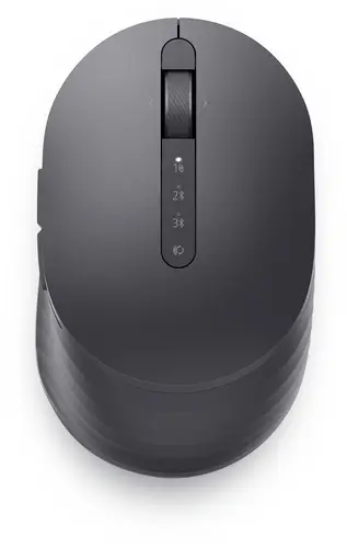 Ratón compacto Pro Premium - MS7421W - Graphite Black (negro) - Imagen 2
