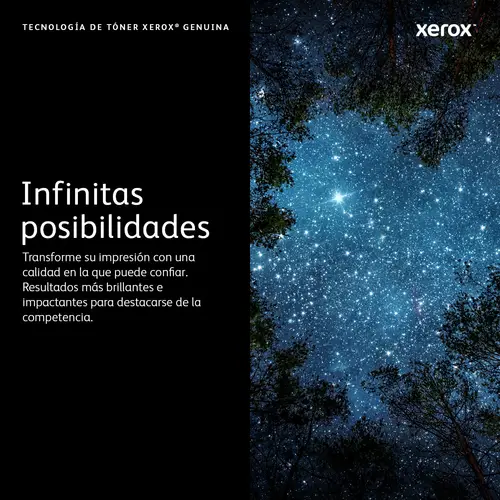 Cartucho del cilindro - Imagen 2