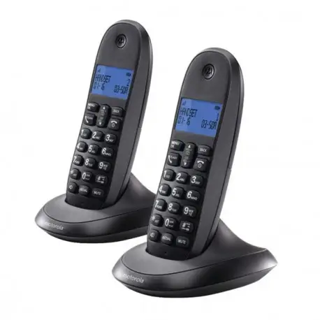 C1002 teléfono Teléfono DECT Identificador de llamadas Gris