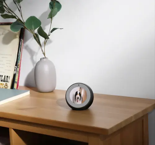 Security Indoor CAM 2K Pan & Tilt, Camara vigilancia WiFi Interior, Reconocimiento de Personas, con Asistente de Voz, Sensor de Movimiento, nessun canone mensile, No se Requiere HomeBase - Imagen 9