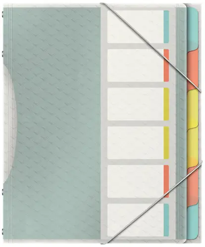 626255 lengüeta de índice Separador en blanco con pestaña Polipropileno (PP) Multicolor - Imagen 1